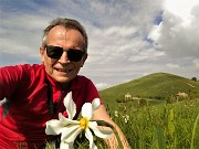 44 e via alla lunga  sfilata dei narcisi